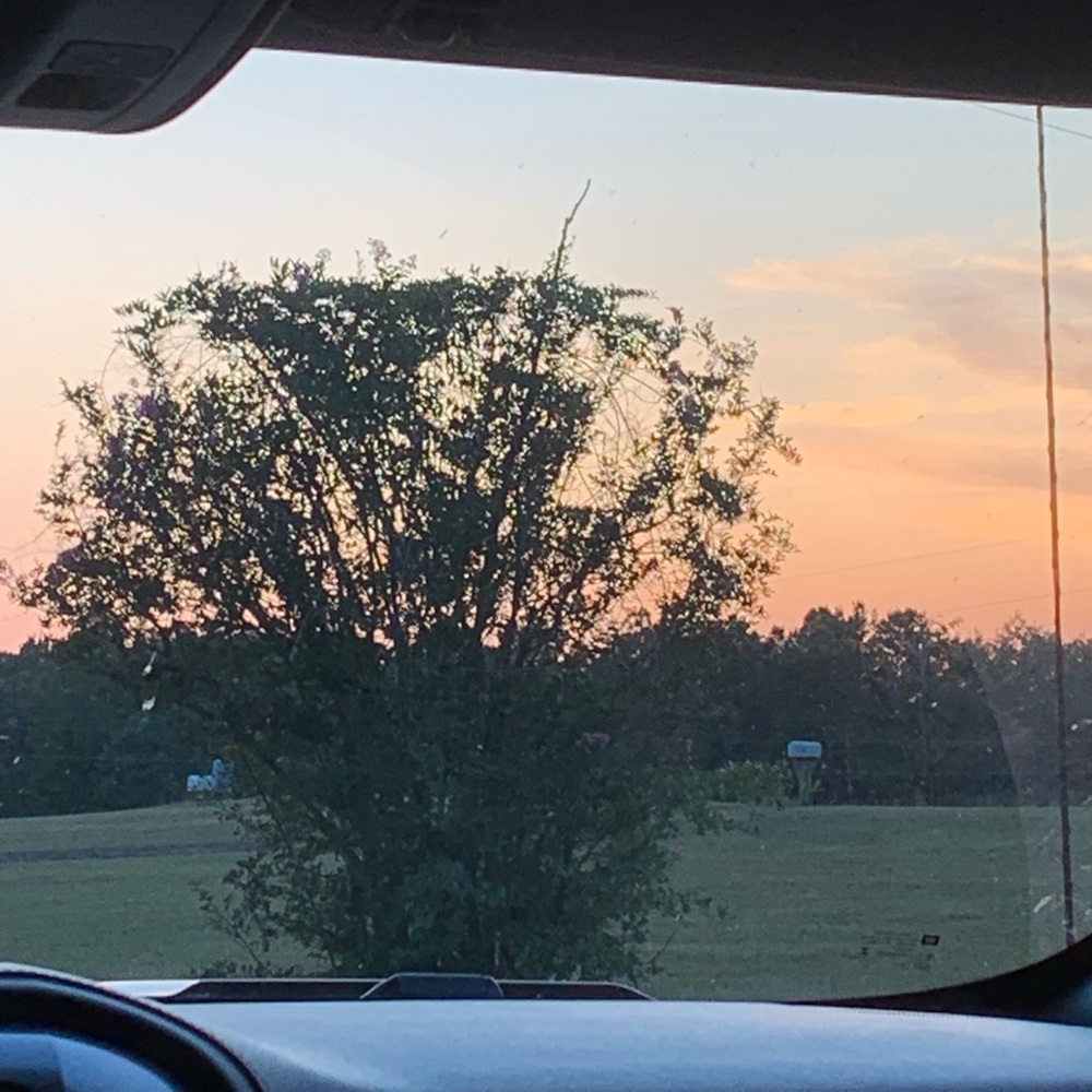 Meet your Posher, Maci